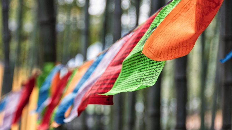 花子动漫 常见问题